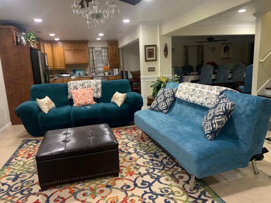Entire Apartment Suite Family Singles Couples Nurses Dinners Business Meetings ลิโธเนีย ภายนอก รูปภาพ