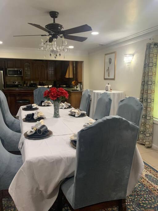Entire Apartment Suite Family Singles Couples Nurses Dinners Business Meetings ลิโธเนีย ภายนอก รูปภาพ